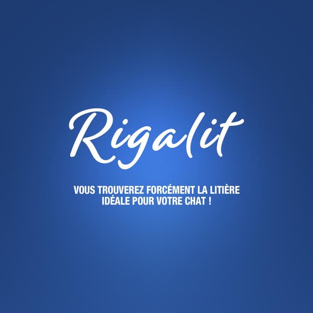 3166780048032 - Riga Rigalit - Litière Silice Agglomérante Fine pour chat 1,6kg