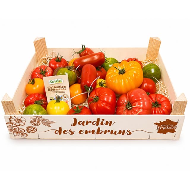 3435530003035 - Saveol - Tomates d'Antan