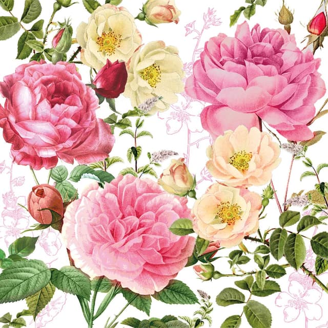 4021766311236 - Paperproducts Design - Serviette en papier Rosalie 