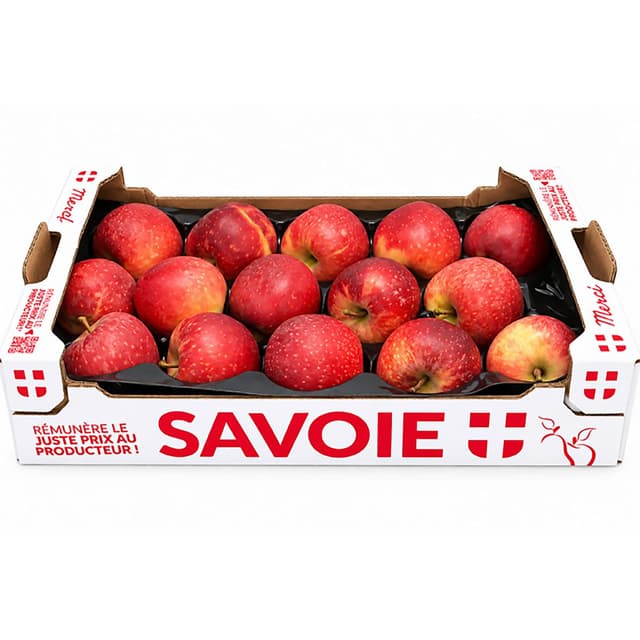 3423187171238 - Thomas Le Prince - Pomme Gala colis 2 kg