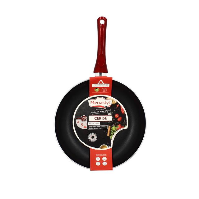 3256390194738 - Ménastyl - Poêle Cerise - Tous feux dont induction