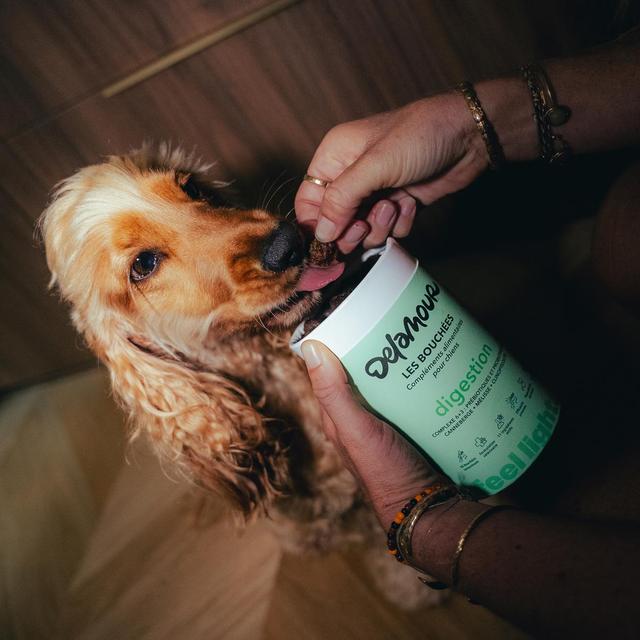 3760407550139 - Delamour - Compléments alimentaires 90 Bouchées Digestion pour chien