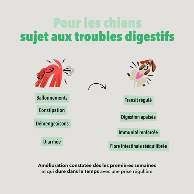 3760407550139 - Delamour - Compléments alimentaires 90 Bouchées Digestion pour chien