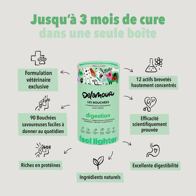 3760407550139 - Delamour - Compléments alimentaires 90 Bouchées Digestion pour chien