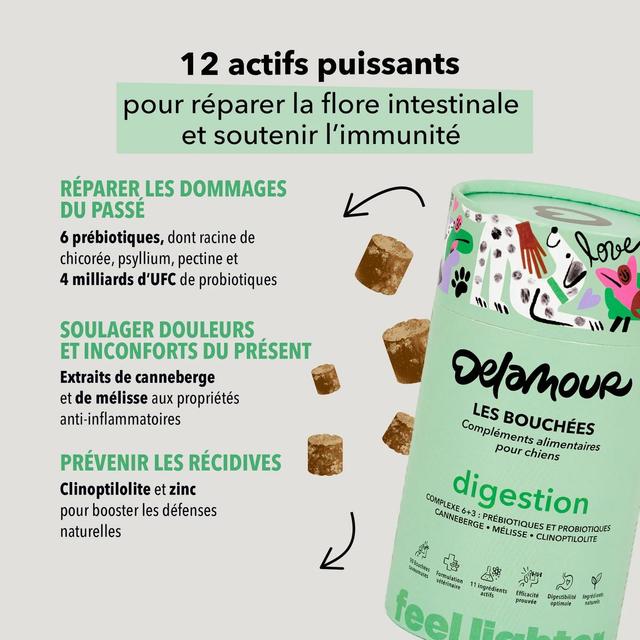 3760407550139 - Delamour - Compléments alimentaires 90 Bouchées Digestion pour chien