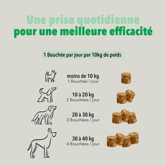 3760407550139 - Delamour - Compléments alimentaires 90 Bouchées Digestion pour chien