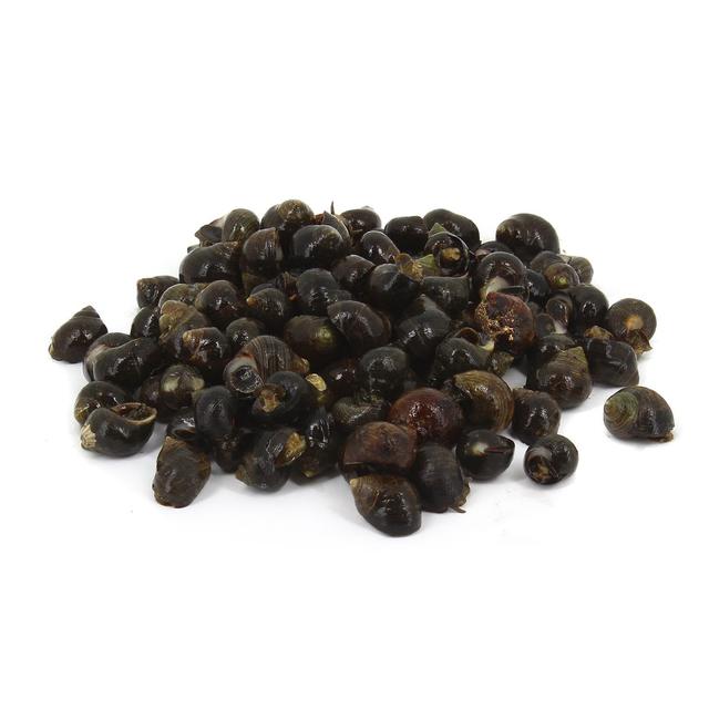 8712671000051 - Norocéan - Bigorneaux vivants