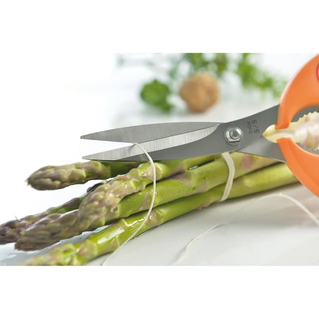 3485990240044 - Mastrad - Ciseaux de cuisine