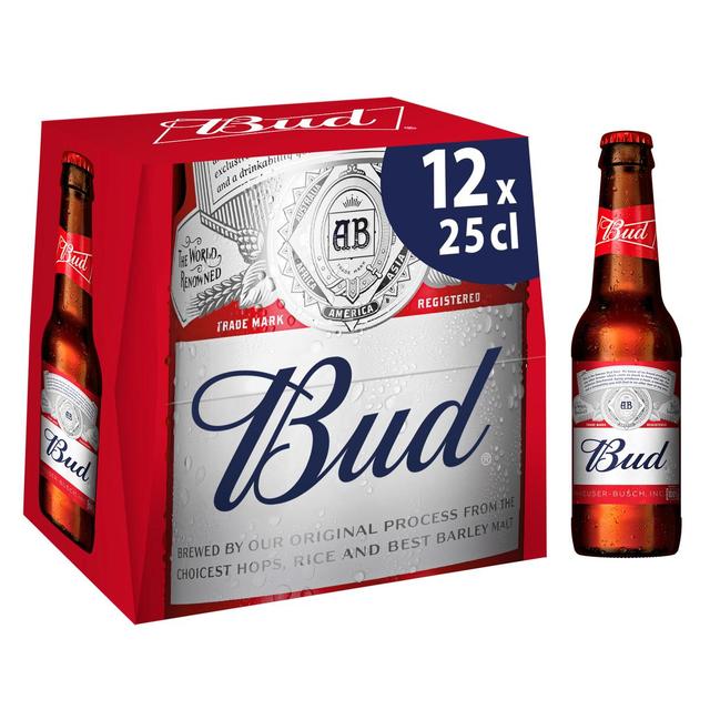 5014379007244 - Bud - Bière blonde 5°