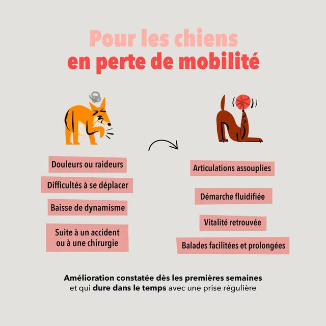 3760407550146 - Delamour - Compléments alimentaires 90 Bouchées Articulation - pour chien