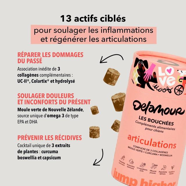 3760407550146 - Delamour - Compléments alimentaires 90 Bouchées Articulation - pour chien