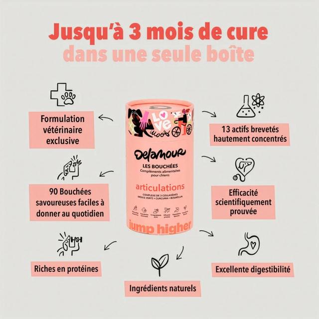 3760407550146 - Delamour - Compléments alimentaires 90 Bouchées Articulation - pour chien