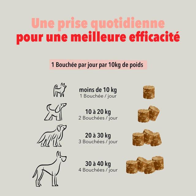 3760407550146 - Delamour - Compléments alimentaires 90 Bouchées Articulation - pour chien