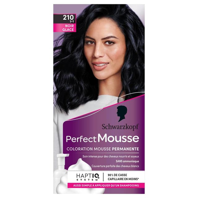 3178041313650 - Perfect Mousse - Coloration Permanente 210 Noir Glacé