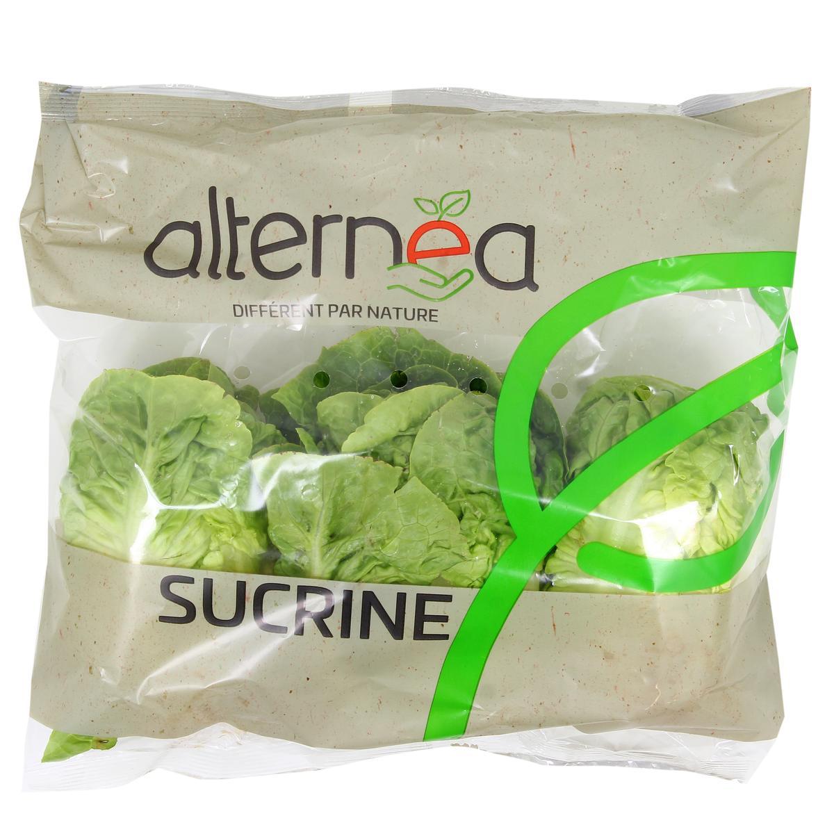3606760064350 -  - Salade sucrine 