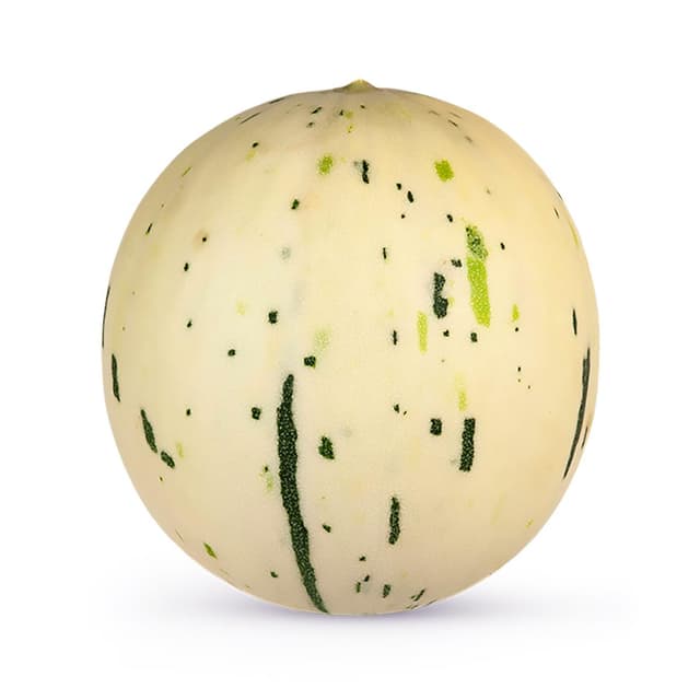 3061436100051 -  - Melon Crocky