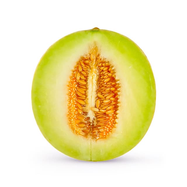 3061436100051 -  - Melon Crocky