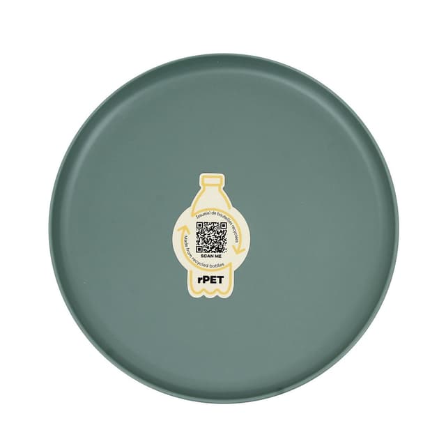 5404035720851 - Point virgule - Assiette Icerberg Green