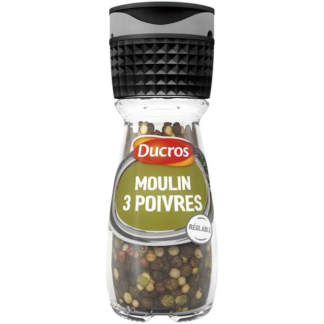 3166291542951 - Ducros - 3 poivres en grain en Moulin