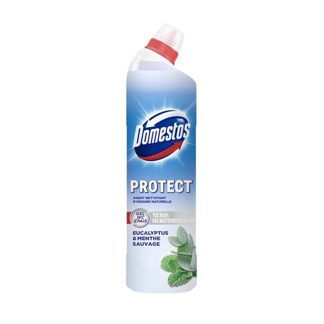 8710522953051 - Domestos - Gel WC  épais Eucalyptus & Menthe sauvage