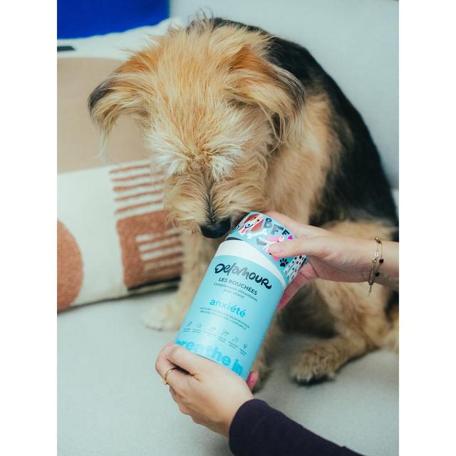 3760407550153 - Delamour - Compléments alimentaires 90 Bouchées Anxiété pour chien