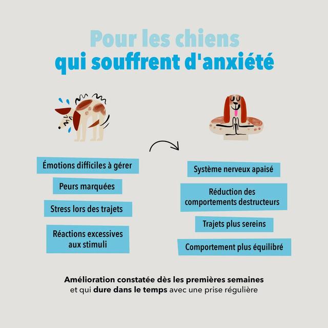 3760407550153 - Delamour - Compléments alimentaires 90 Bouchées Anxiété pour chien