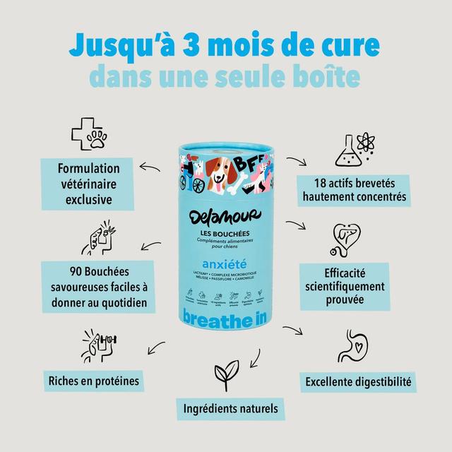 3760407550153 - Delamour - Compléments alimentaires 90 Bouchées Anxiété pour chien