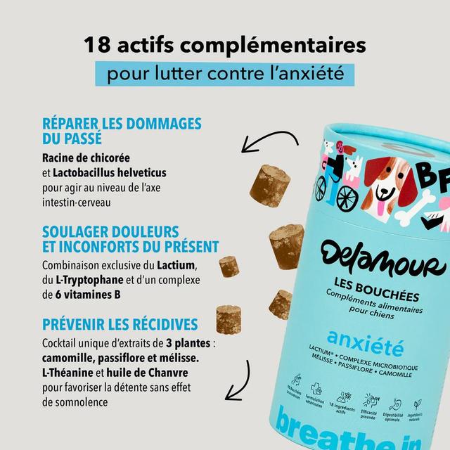 3760407550153 - Delamour - Compléments alimentaires 90 Bouchées Anxiété pour chien