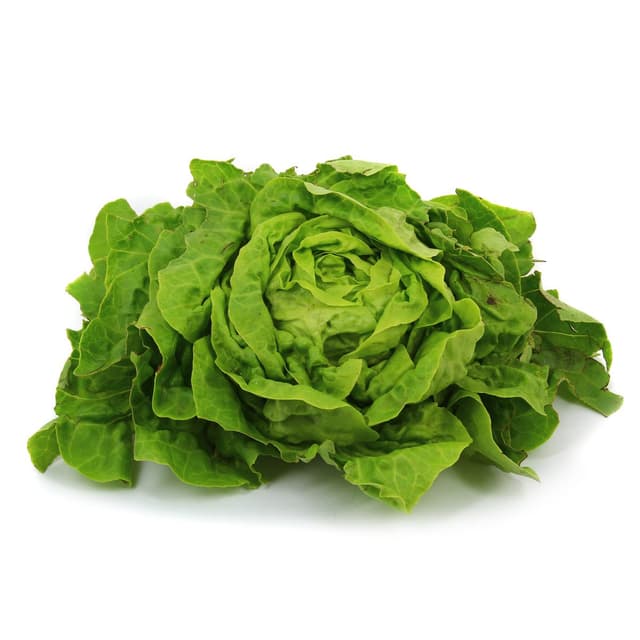 2050000372254 - Les Saveurs De Chailly - Laitue 