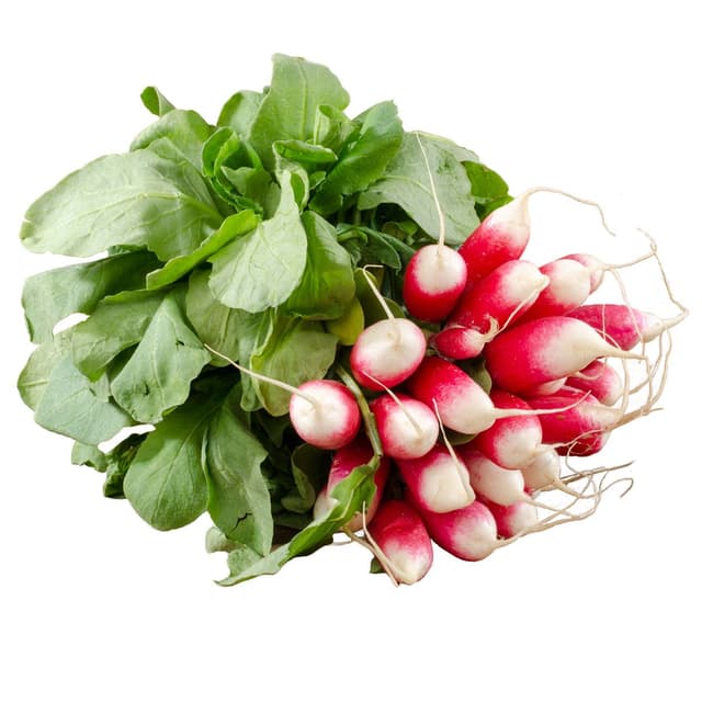 2050000420658 - Fermes Debout  - Radis Rose Local