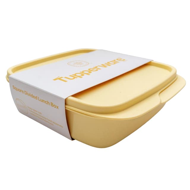 1220000851658 - Tupperware - Éco lunch box 500ml