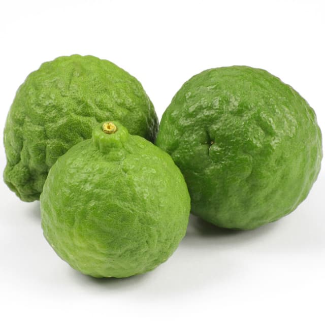 3770007552068 - Oxa-Exotic - Combavas