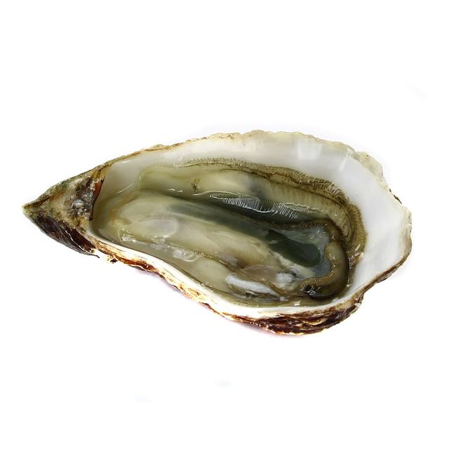 3000115282459 - Lamaison - Huître n° 2 Fines de Claires Label Rouge Marennes Oléron IGP