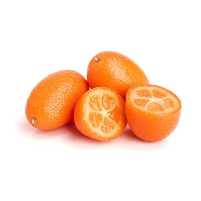 3770007559159 - Oxa-Exotic - Kumquat
