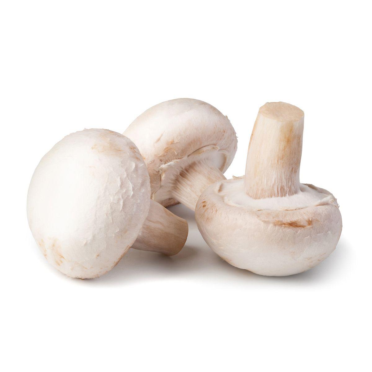 5450322062685 -  - Champignon blanc Paris