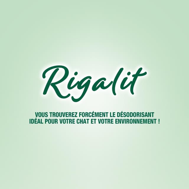 3166780651560 - Riga - Déodo litière fleurs de Provence
