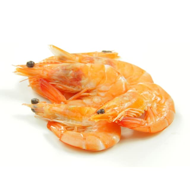 3700488503464 - Norocéan - Crevette bio cuite réfrigérée