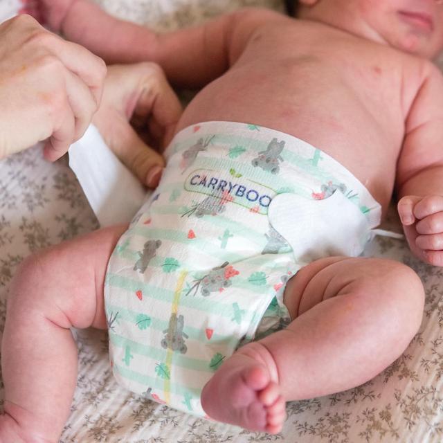 3760001769364 - Carryboo Nature - Couches naturelles et chou, T1 (2-5kg)