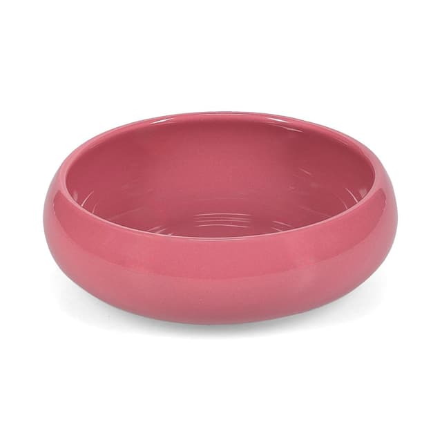 5410595781966 - Collection Billie - Bol 16xH5,5cm pink 