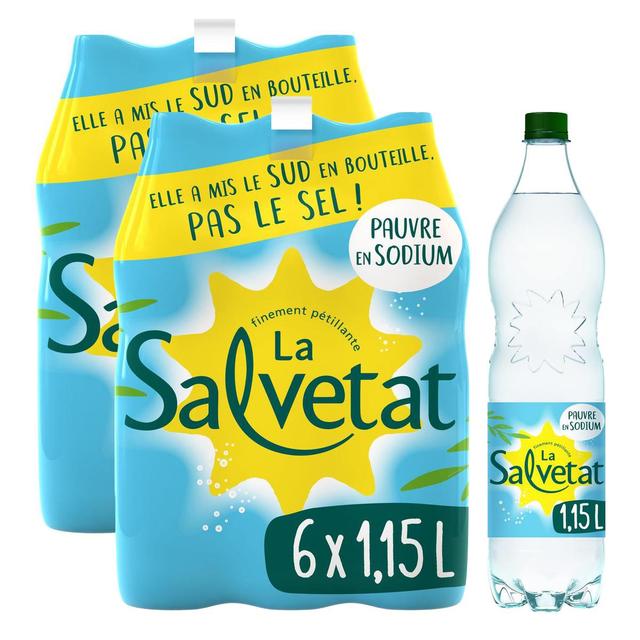 2050000404566 - Salvetat - Eau gazeuse minérale naturelle