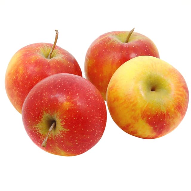 3760074476770 - Les Paysans Bio - Pomme Gala Bio