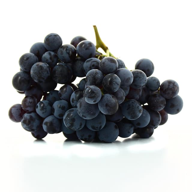 3700530905598 - Prodiva  - Raisin Muscat Bio