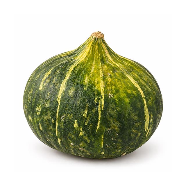 2050000425578 -  - Courge Délicate 
