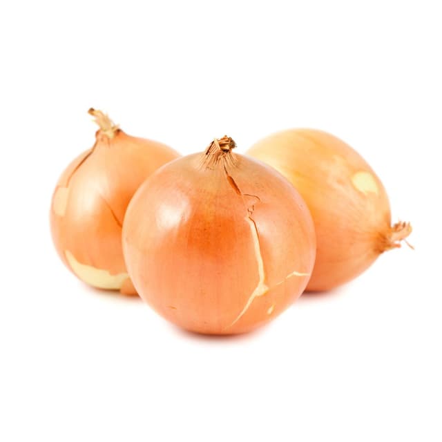 3663362027480 - Priméale - Oignon doux 