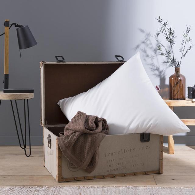 3307410004282 - Dodo - Oreiller moellleux Coton Bio Planete