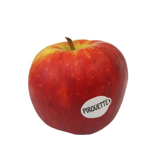 2050000361883 -  - Pomme Pirouette