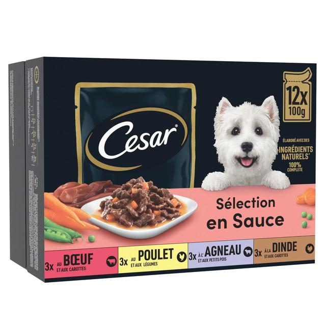 8410136019883 - César - Sachets en Sauce Sélection 4 variétés pour chien adulte