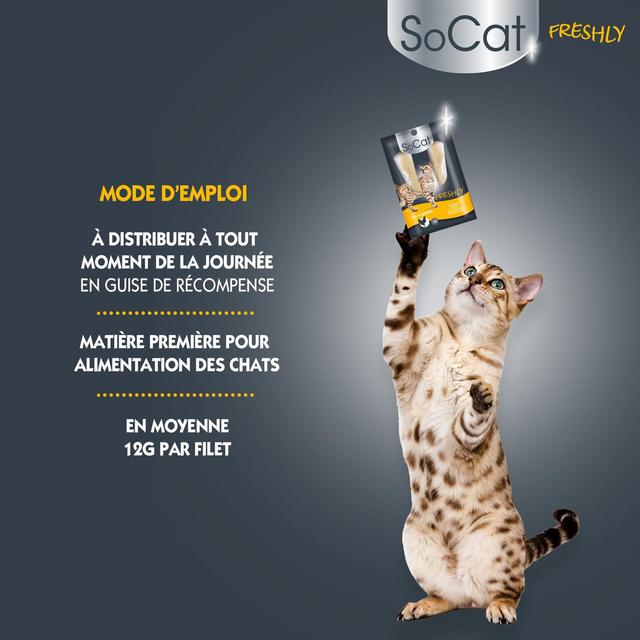 3166780061284 - Riga Socat - Filets de poulet Freshly - Friandise pour chat