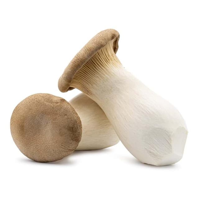 2050000373985 -  - Champignon Eryngii