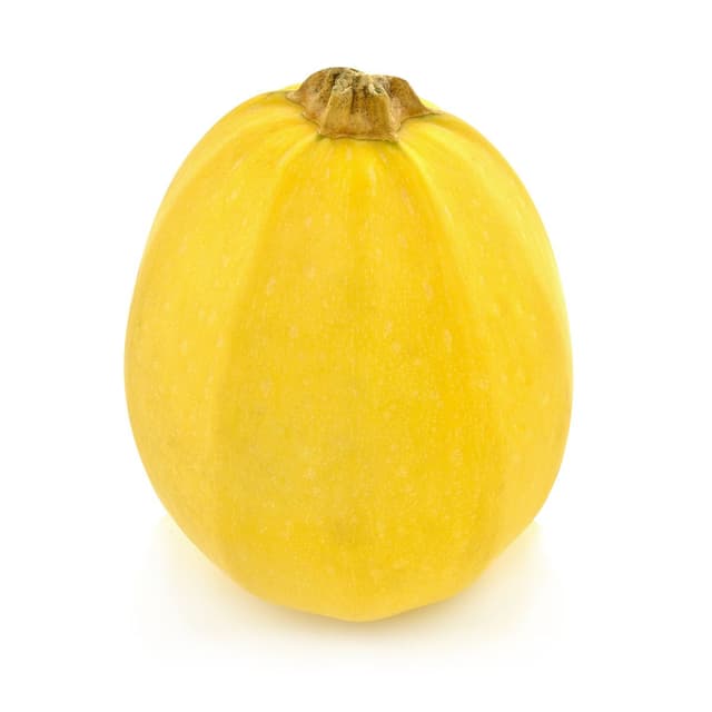 2050000425585 -  - Courge Spaghetti 